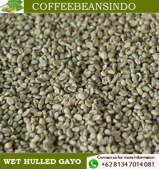 Gayo Coffee Beans