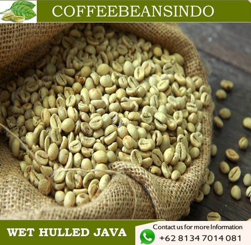 Java Coffee Beans